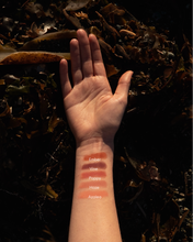 Load image into Gallery viewer, Tallow Lip and Cheek Tint