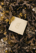 Load image into Gallery viewer, Tallow Soap Bar Duo