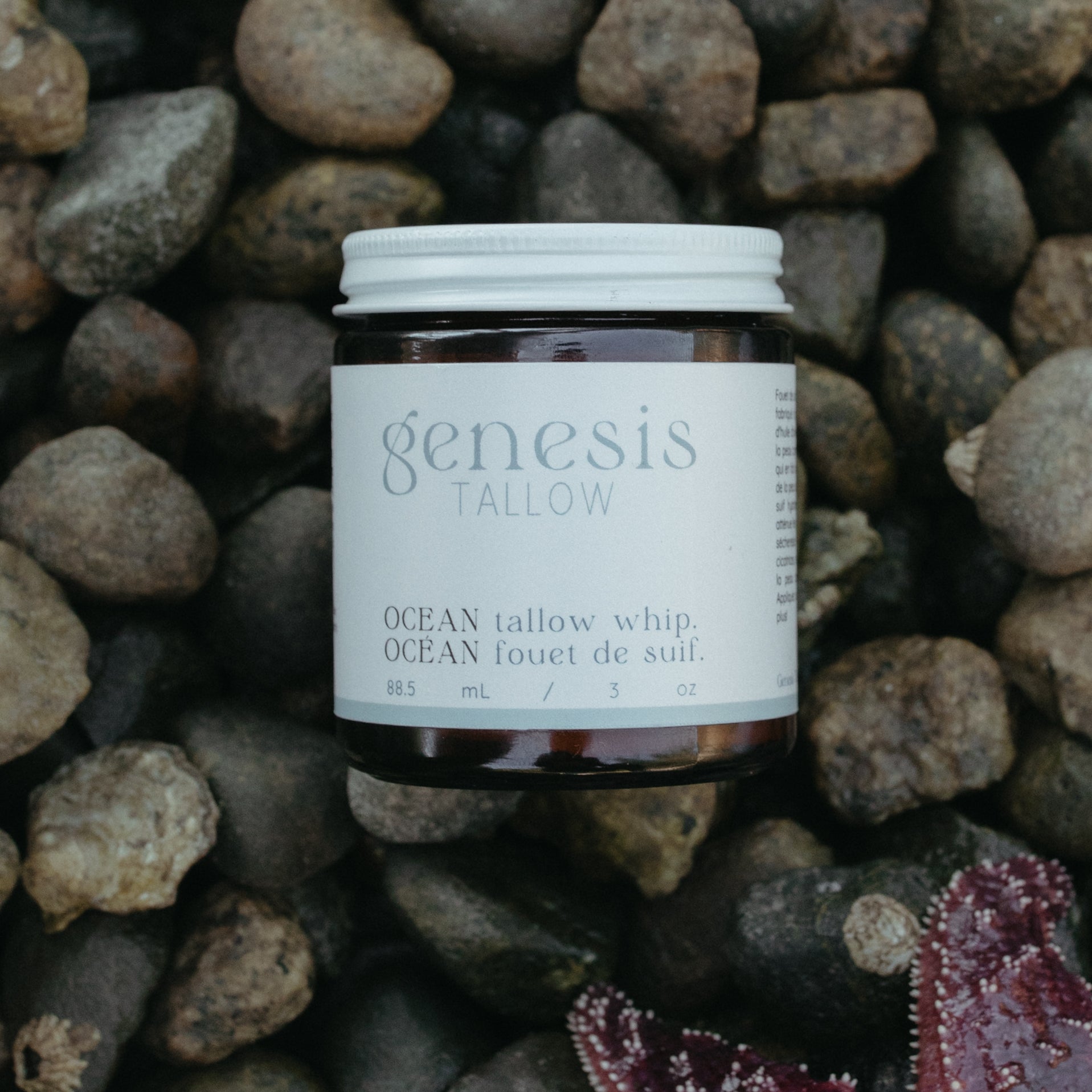 Ocean Tallow Whip | Natural Body Moisturizer 3oz