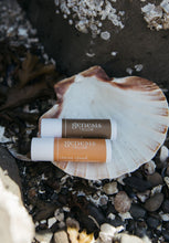 Load image into Gallery viewer, Rooted Lip Balm
