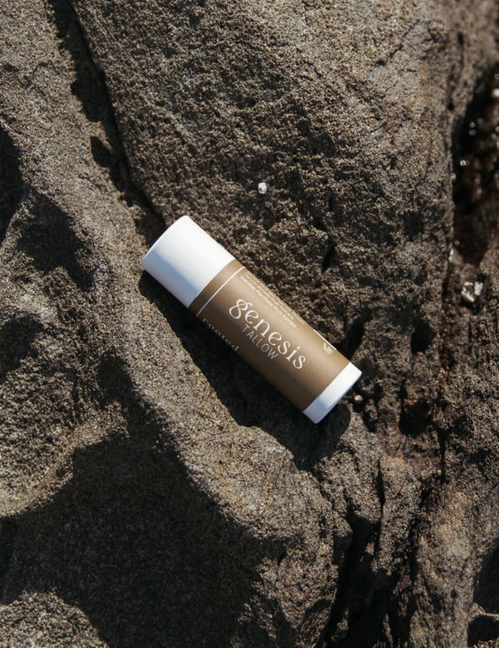 Rooted Lip Balm