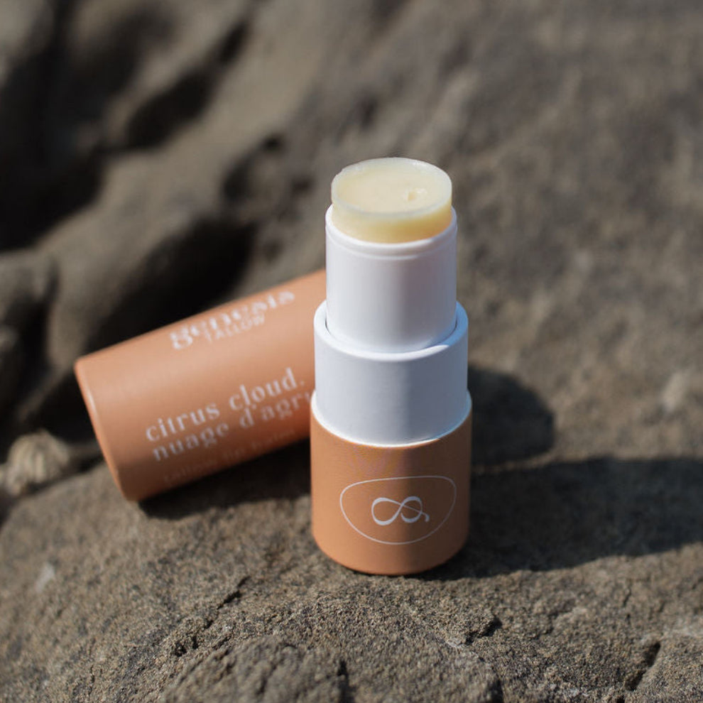 Orange Vanilla Creamsicle natural tallow lip balm made with grass-fed tallow in paper tube plastic free