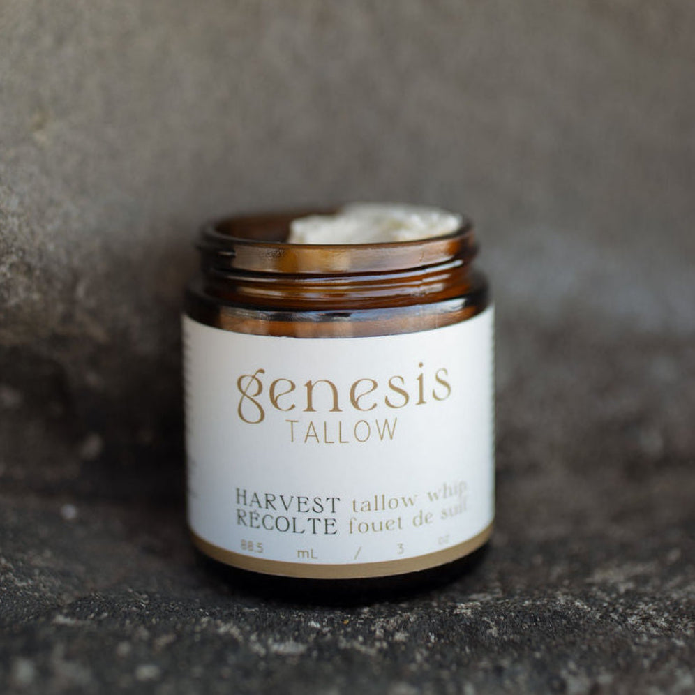 Harvest Tallow Whip – pumpkin spice tallow body moisturizer for fall