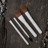 Essential Brush Set