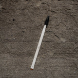 Brow Brush