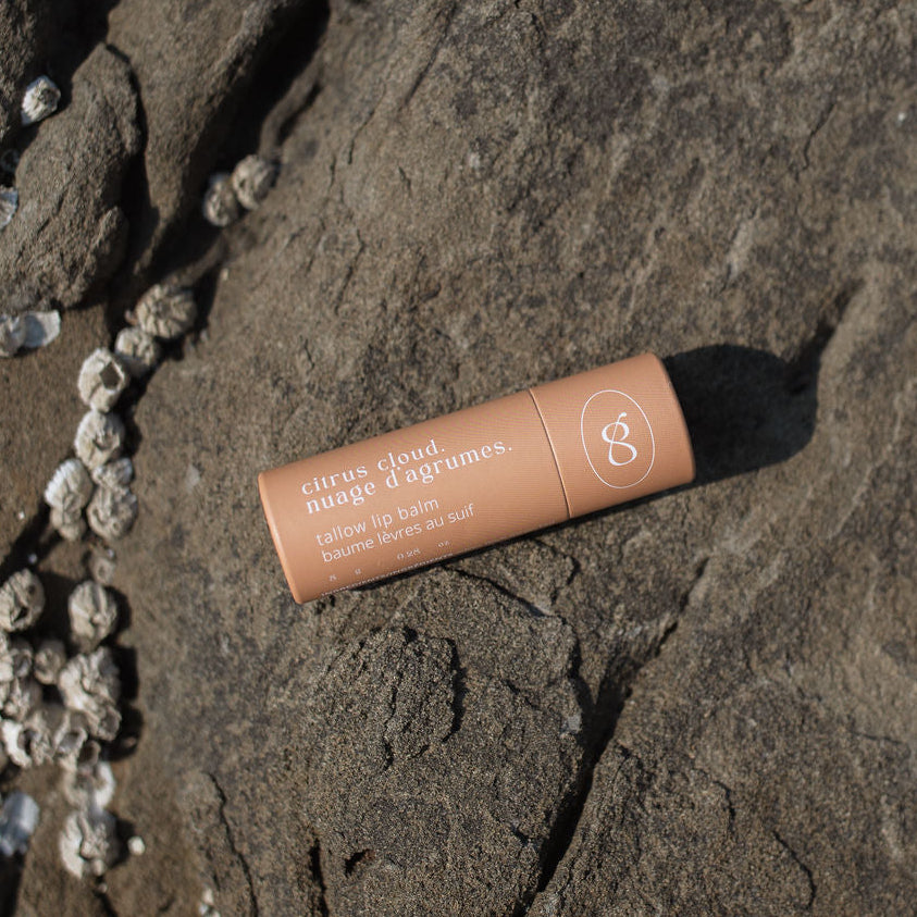 Citrus Cloud Tallow Lip Balm | Orange Vanilla Lip Balm