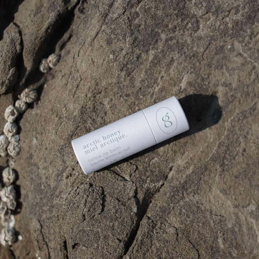 Arctic Honey Tallow Lip Balm | Peppermint