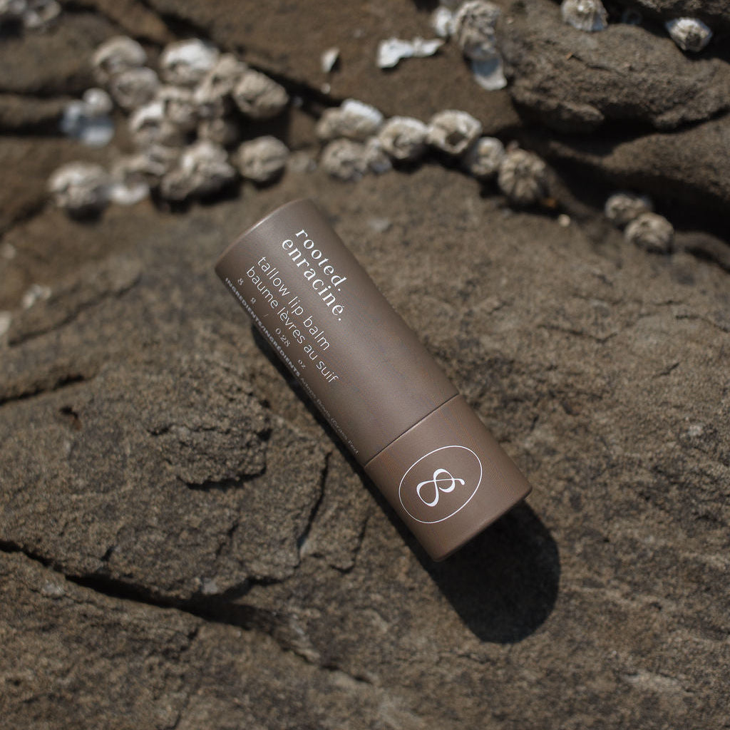 Rooted Tallow Lip Balm | Root Beer Lip Balm
