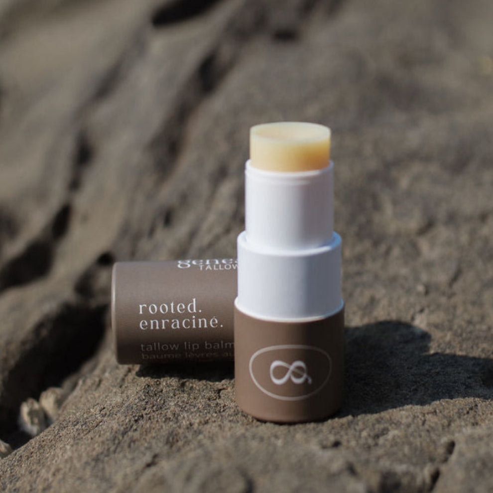 Root Beer natural tallow lip balm made with grass-fed tallow in paper tube plastic free