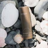 Sunshine Face Zinc Tallow Stick | Tinted Sun Balm