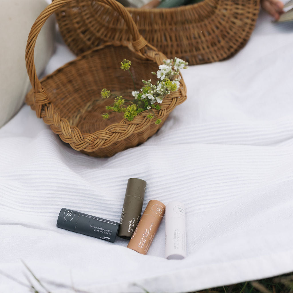 Rooted Tallow Lip Balm | Root Beer Lip Balm