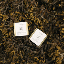 Load image into Gallery viewer, Tallow Soap Bar Duo
