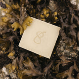 Tallow Soap Bar Duo
