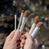 Essential Brush Set