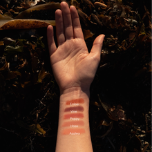 Load image into Gallery viewer, Tallow Lip &amp; Cheek Tint | Natural Lip + Cheek Color
